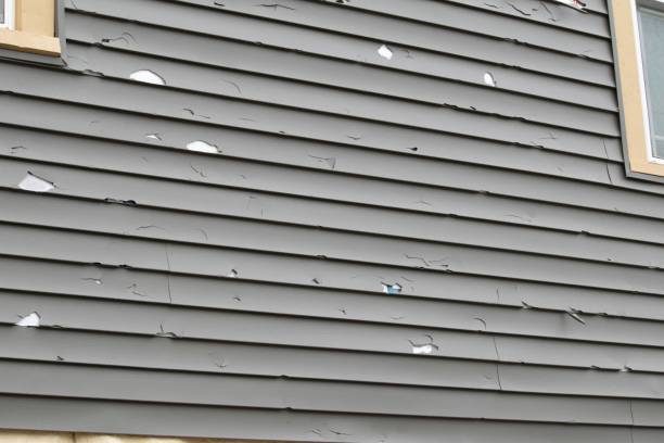 Affordable Siding Repair and Maintenance Services in Barrington, IL